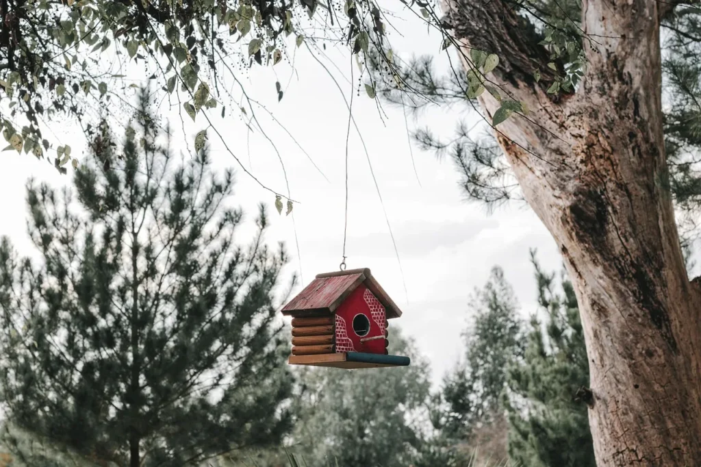 5 façons d'adopter la décoration ethnique chez soi